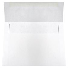 White Invitation Envelope