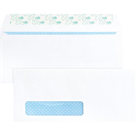 Security Peel-To-Seal Envelope