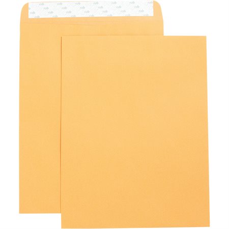 Self sealing Catalogue Envelope