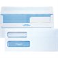 Double Window Security Envelope