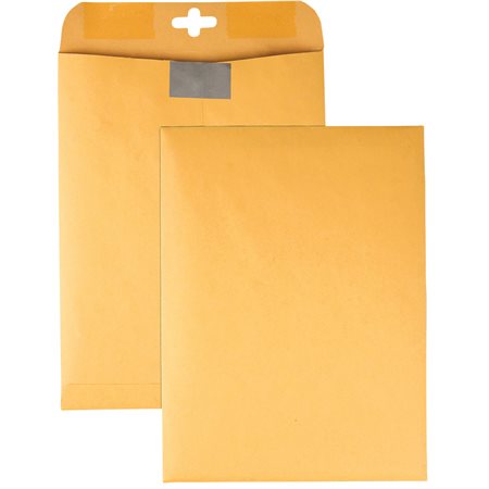 ClearClasp® Envelope