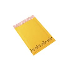 Ecolite Shipping Envelope