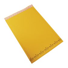 Ecolite Shipping Envelope