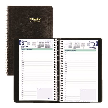 Daily Diary (2026)