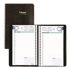 Daily Diary (2026)