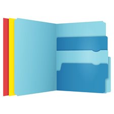 Divide It Up™ File Folder