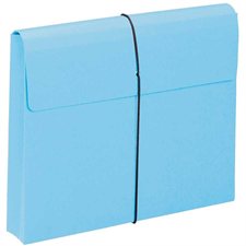 Coloured Expanding Wallets