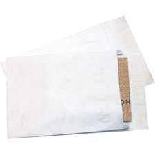 Tyvek Envelope