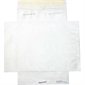 Tyvek Envelope