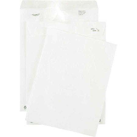 Tyvek Envelope