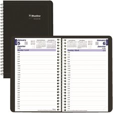 Daily Diary (2025)