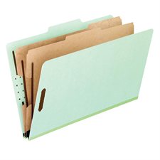 Pressboard Classification Folders