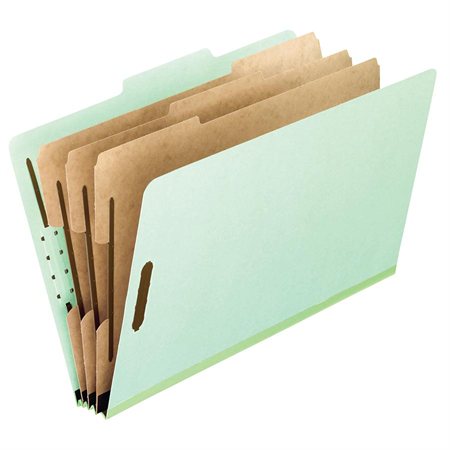 Pressboard Classification Folders