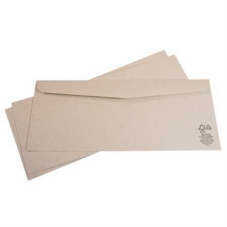 Kraft envelope