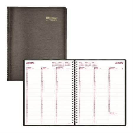 Weekly Diary (2026)