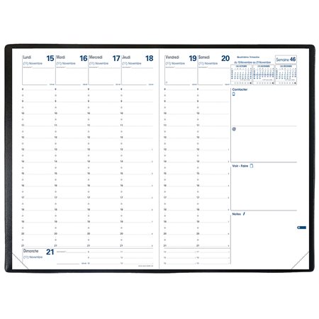 Ministre Weekly Diary (2025)