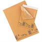 Ecolite Shipping Envelope