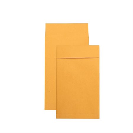 Redi-Strip™ Kraft Expansion Envelope