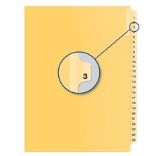 Individual Numerical Litigation Index Dividers