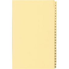 Numerical Litigation Index Dividers