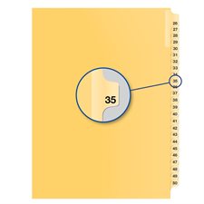 Individual Numerical Litigation Index Dividers