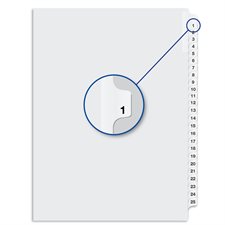 Quest Numerical Litigation Index Dividers