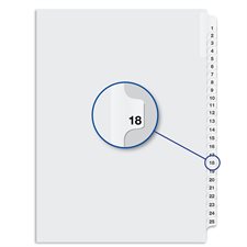 Quest Numerical Litigation Index Dividers