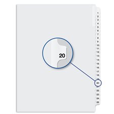 Quest Numerical Litigation Index Dividers