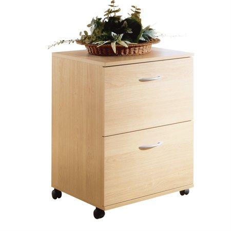 2-Drawer Mobile File