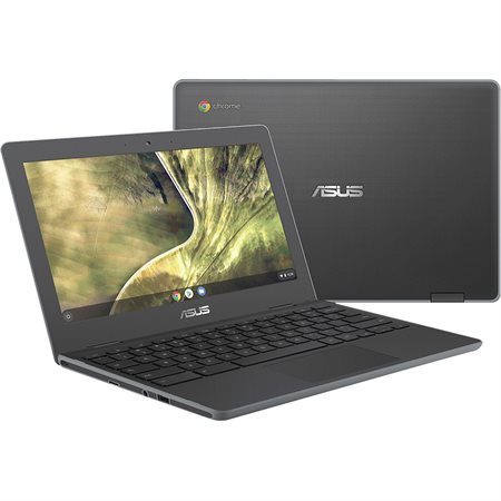 Asus Chromebook C204