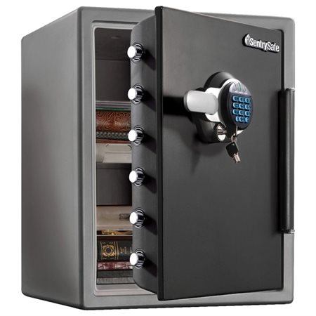 DESCRIPTION À VENIR