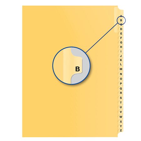 Alphabetical Litigation Index Dividers