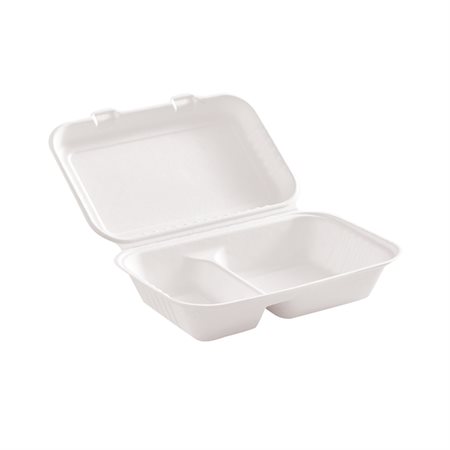 Hinged Lid Container