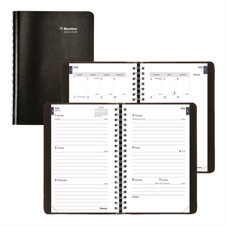 Academic Weekly Planner (2024-2025)