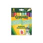 Marqueurs en édition limitée Crayola