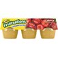 Fruitsations Unsweetened Apple