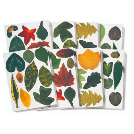 Print Paper - Crafty Leaves