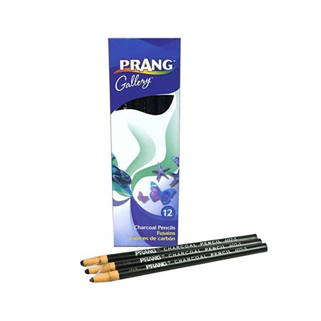 Charcoal Pencil - Paper Wrapped
