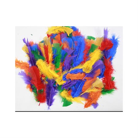 Feathers