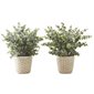 Plant d'eucalyptus artificielle