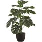 Artificial Plant - Monstera