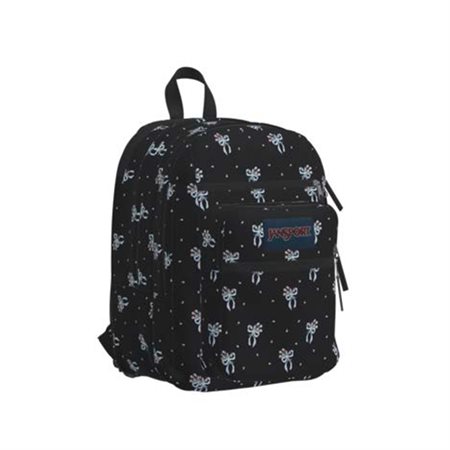 Big Student Backpack