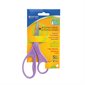 Antimicrobial Hard Handle Scissors