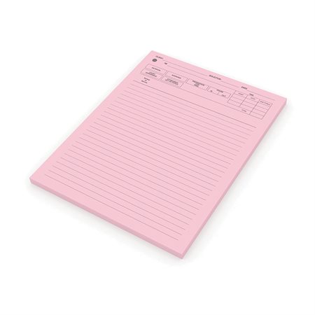 Legal Supplies Solicitor's Interview Pad