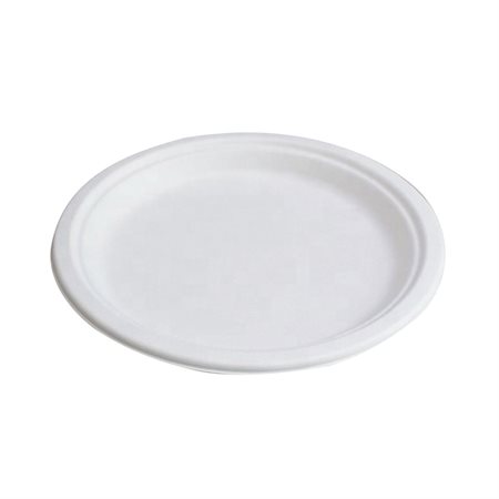 Assiettes compostables pour repas