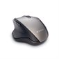 Ergo Wireless Blue LED Mouse
