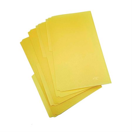 Chemises de classement polyvalentes