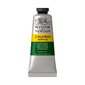 Galeria Acrylic Paint Hookers Green
