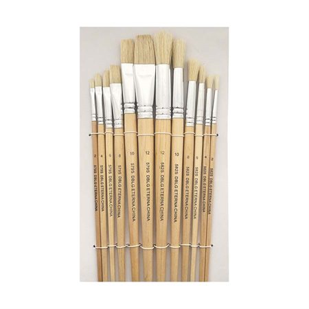 Assorted Brush Sets Short handles