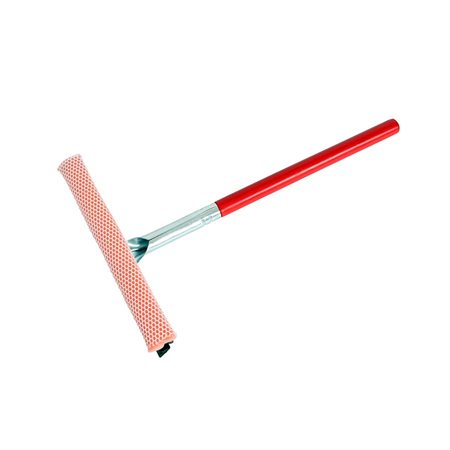 Squeegee Auto Windsheild